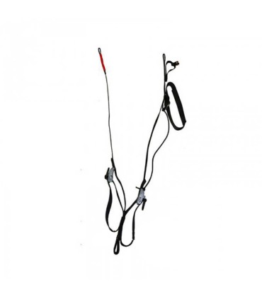 Speed-riding 2 Branches