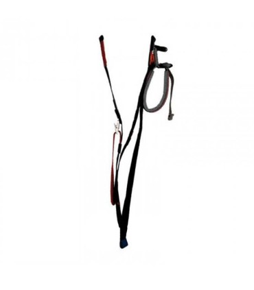 Elevators Speed Riding 2 Branches Nano Gin