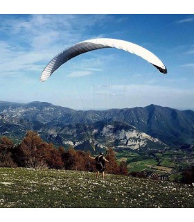 Sonic 3DX Paragliding Sail SOL