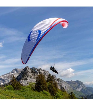 Savage S Polar Supair demo wing