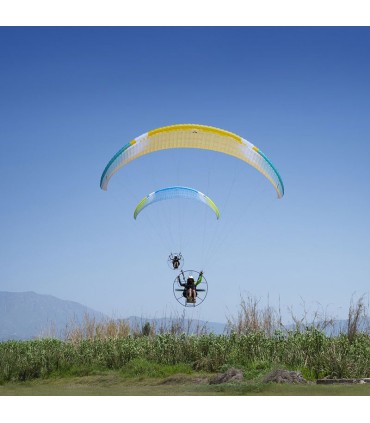 Ailes dobermann 3 couleur earth