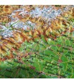 3DMap Reliefkarte des Alpenbogens