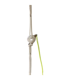 Easy Release Charly release link