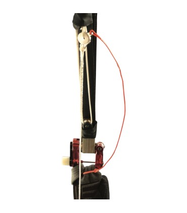 Easy Release Charly release link