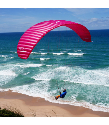 gleitschirmflieger Möwe littlecloud
