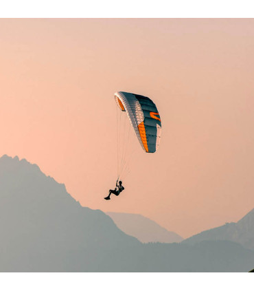 Aile d'occasion Pace - 95 - Skywalk