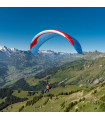 Gebrauchte Gleitschirm Yéti Tandem 3 - 41 - Blau - Gin