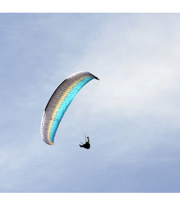 Used Wing Dena UP Paragliders