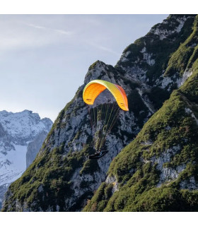 Used Wing Dena UP Paragliders