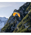 Used Wing Dena UP Paragliders