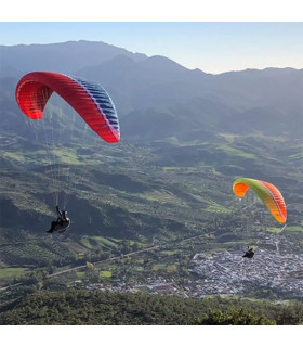 Used Wing Rimo UP Paragliders