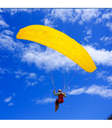 Mini-wing Puffin V2 LittleCloud