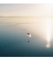 Skin 4 P Niviuk Paragliding Wing - Air et Aventure
