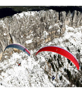Aile d'occasion GTO 3 - S - Gris - GIN
