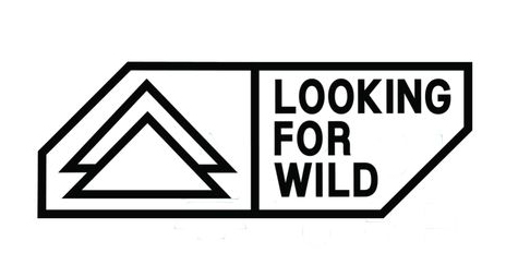 LOOKING FOR WILD